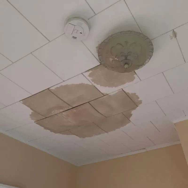 Ceiling Water Damage Repair in Marlboro, NY